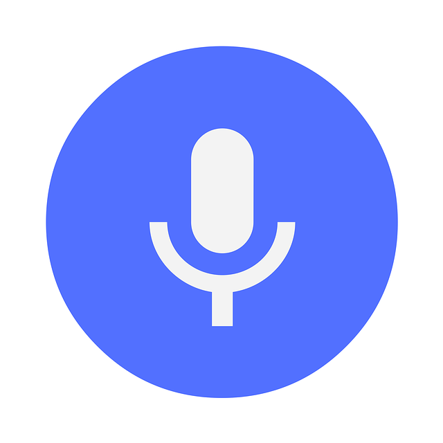 voice-search-optimization
